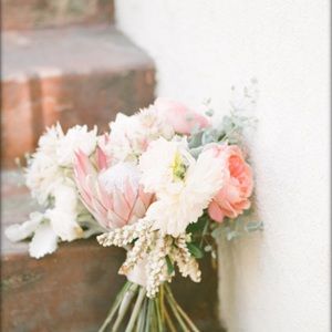 Meet your Posher, Drew